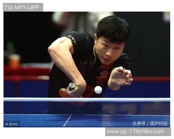 乒乓球场上的传奇人生:杨秀英的深度对话与成长故事 乒乓球场上的传奇人生:杨秀英的深度对话与成长故事